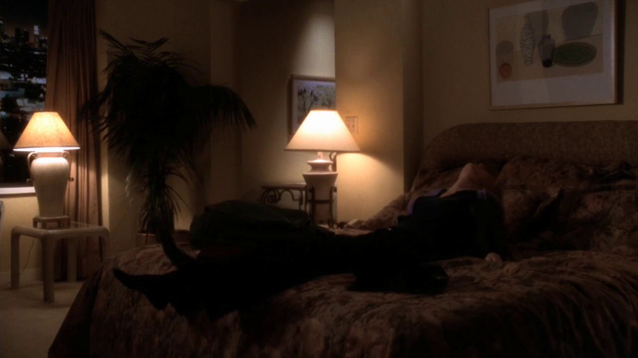 vlcsnap-2013-01-18-17h10m51s11.png