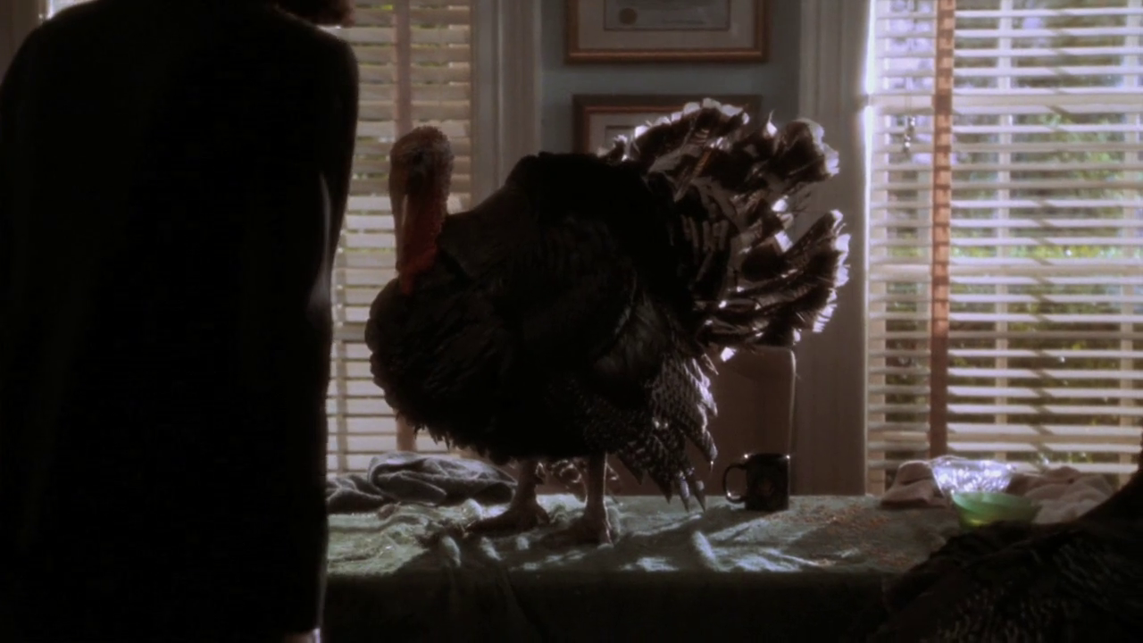 vlcsnap-2012-12-27-18h20m53s55.png