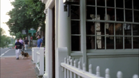 vlcsnap-2012-12-31-01h47m11s56.png