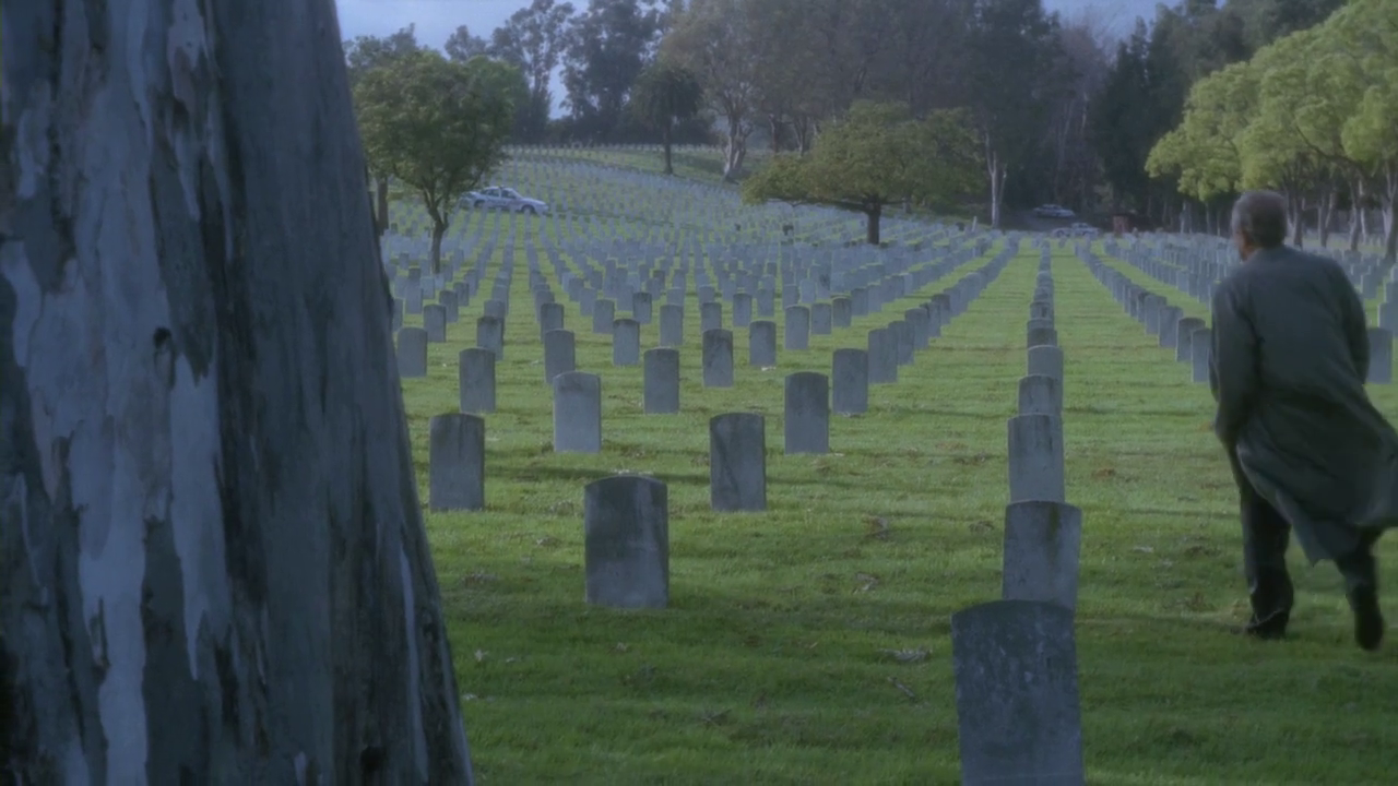 vlcsnap-2013-01-05-20h09m45s94.png