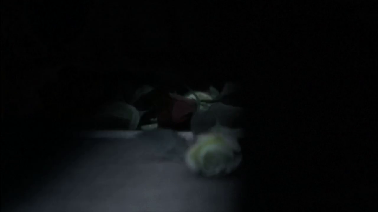 vlcsnap-2013-01-05-21h28m06s248.png