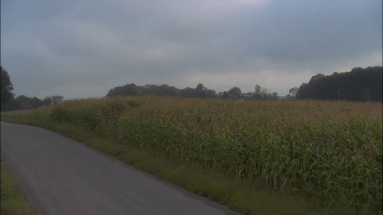 vlcsnap-2013-01-06-21h39m01s148.png