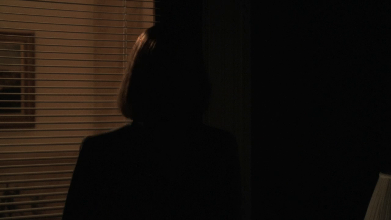 vlcsnap-2013-01-09-20h11m09s167.png