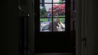 vlcsnap-2013-01-11-23h52m20s11.png