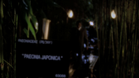 vlcsnap-2013-01-12-00h03m36s112.png