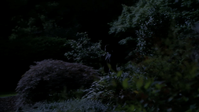 vlcsnap-2013-01-12-00h03m40s154.png