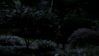 vlcsnap-2013-01-12-00h03m43s182.png