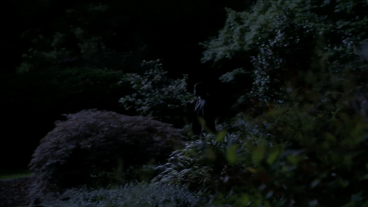 vlcsnap-2013-01-12-00h03m40s154.png