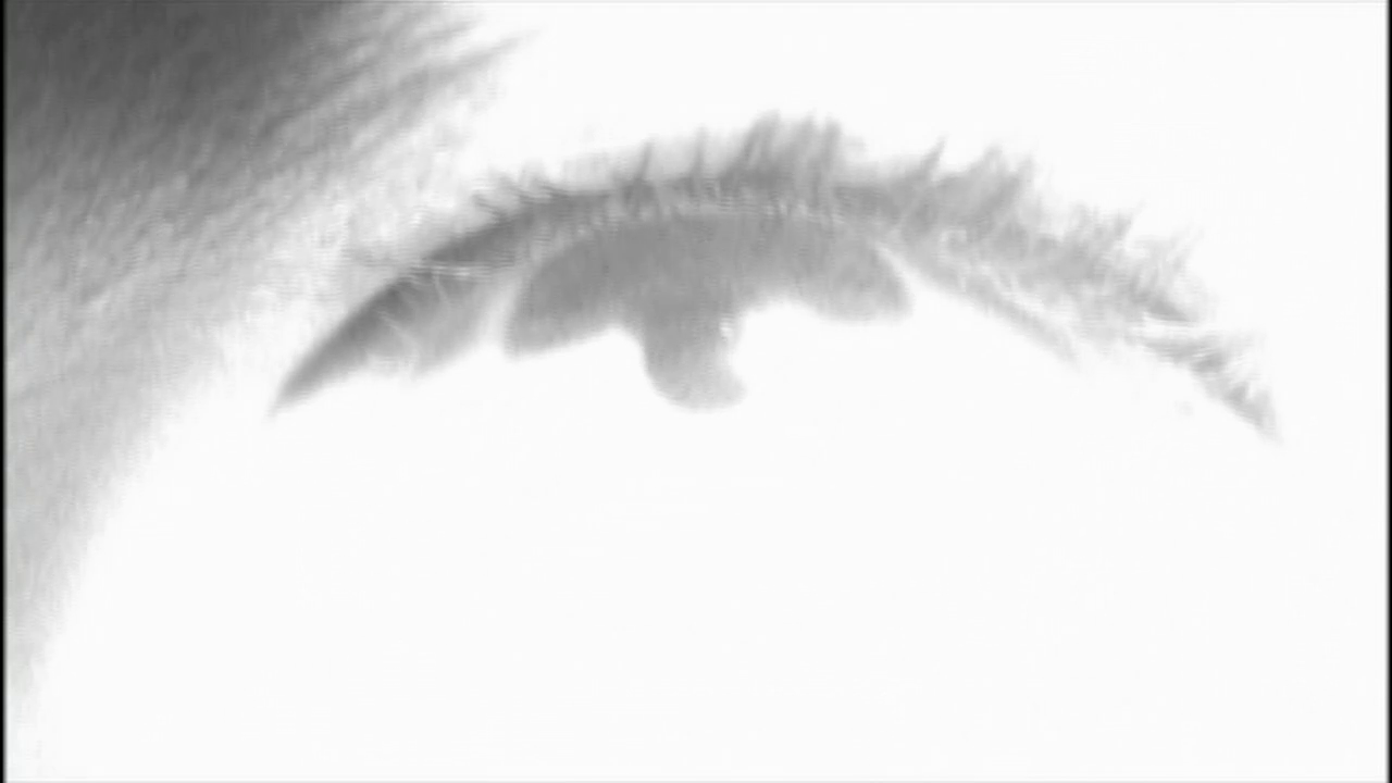 vlcsnap-2013-01-12-00h24m38s185.png