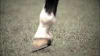 vlcsnap-2013-01-13-03h31m11s246.png