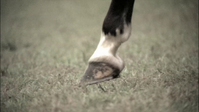vlcsnap-2013-01-13-03h31m13s7.png