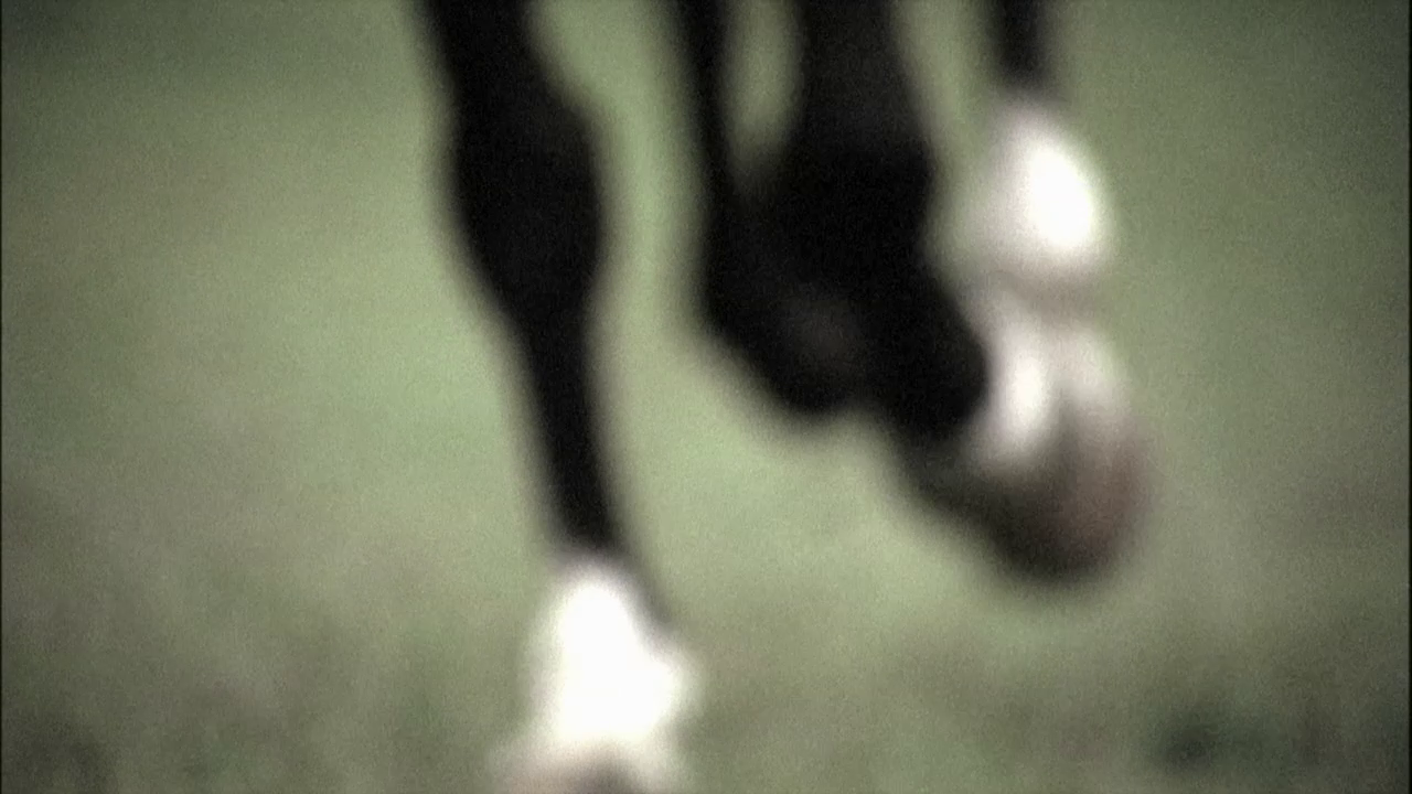 vlcsnap-2013-01-13-02h10m15s69.png