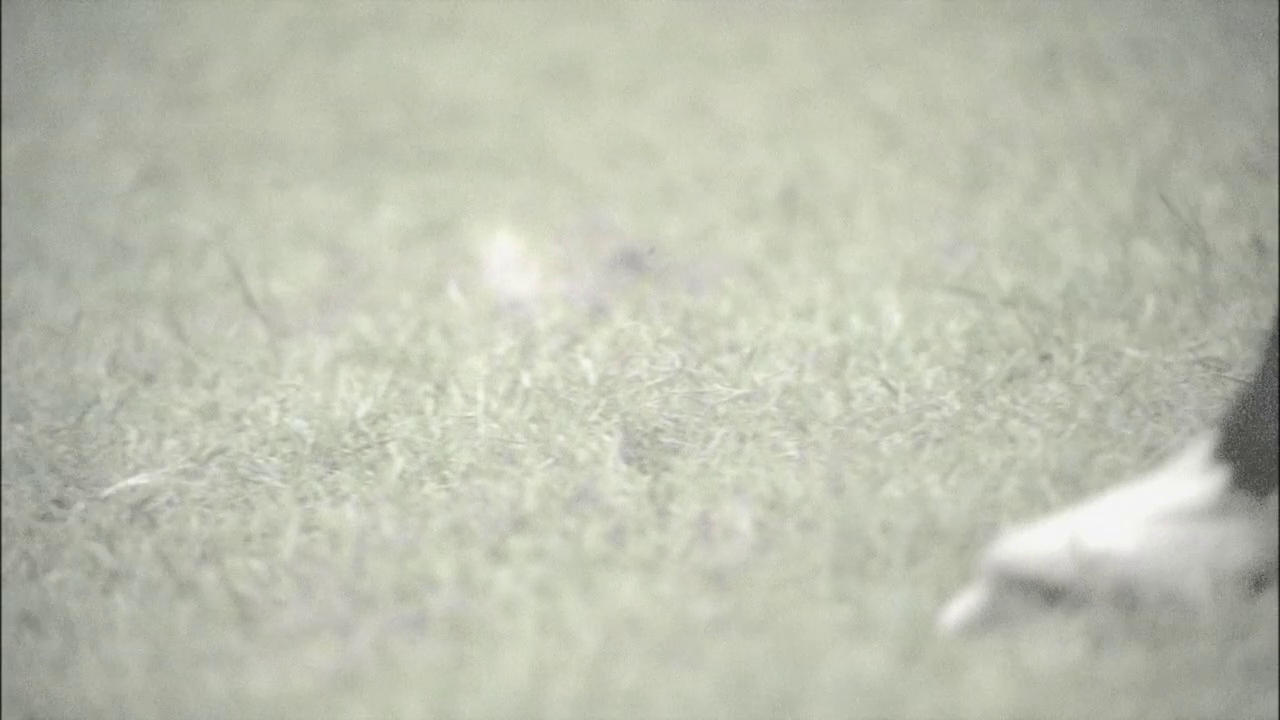 vlcsnap-2013-01-13-02h10m22s143.png