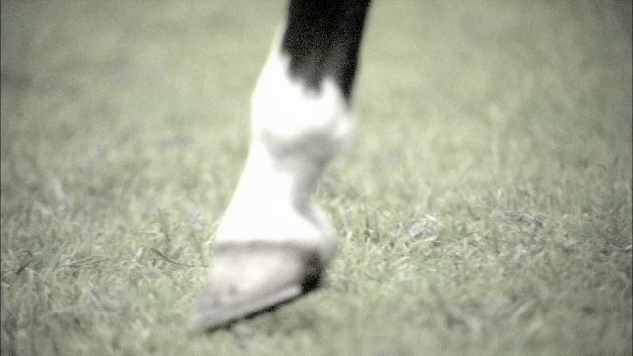 vlcsnap-2013-01-13-02h10m23s152.png
