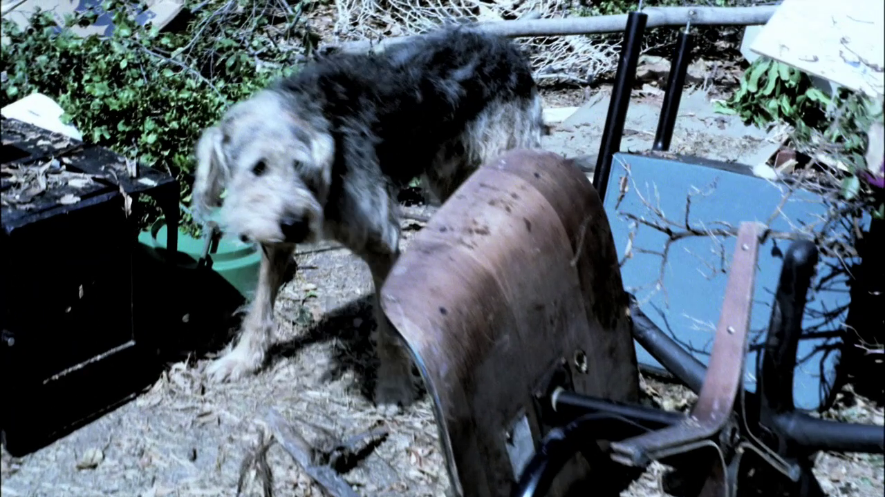 vlcsnap-2013-01-14-17h08m39s229.png