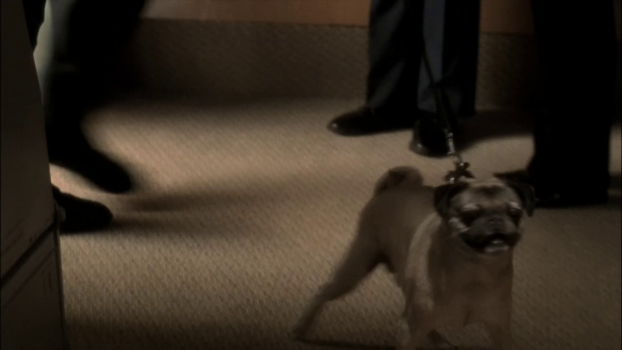 vlcsnap-2013-01-03-18h34m49s225.png