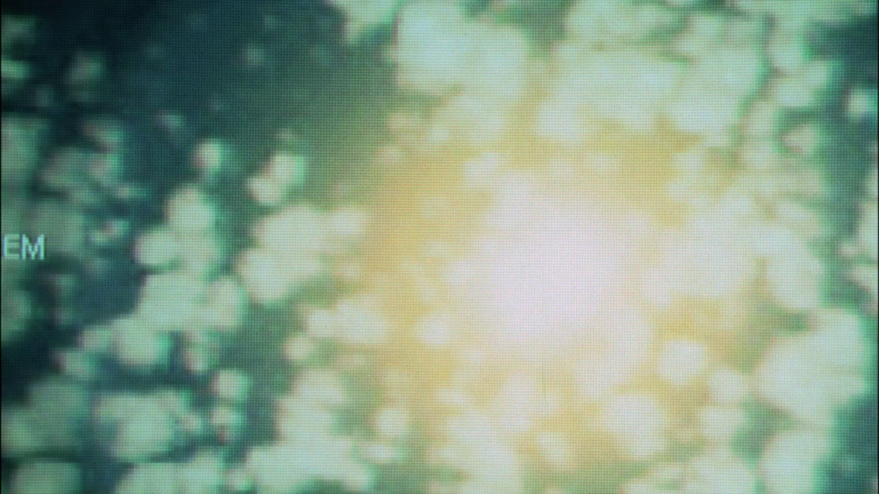 vlcsnap-2013-01-15-21h43m39s116.png
