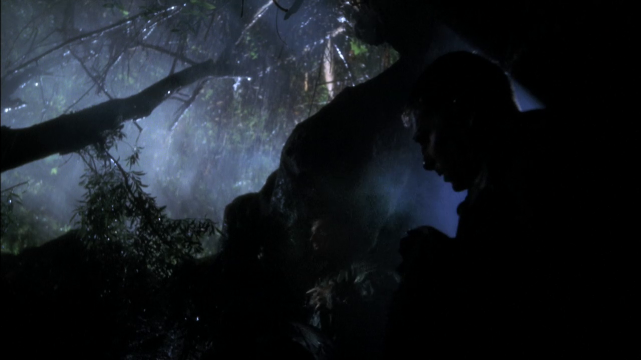 vlcsnap-2013-01-14-20h48m51s3.png