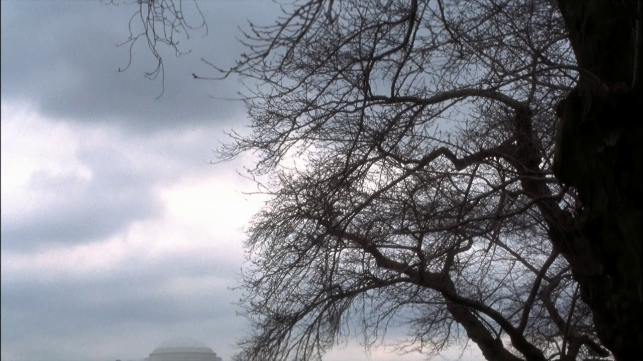 vlcsnap-2013-01-14-21h09m19s243.png