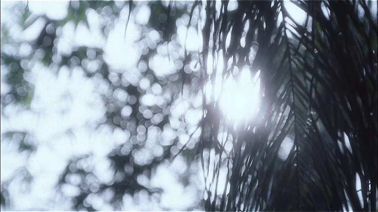 vlcsnap-2013-01-14-21h16m44s88.png