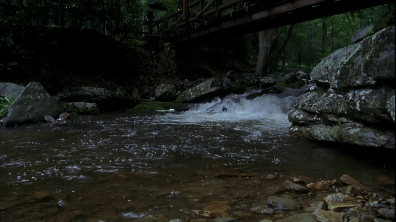 vlcsnap-2013-01-16-02h12m51s98.png