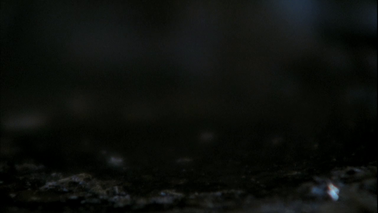 vlcsnap-2013-01-16-02h27m14s21.png