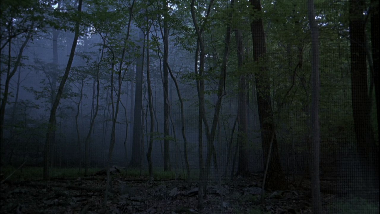 vlcsnap-2013-01-16-02h29m22s24.png
