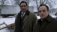 vlcsnap-2013-01-16-23h09m36s220.png