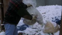 vlcsnap-2013-01-16-23h11m59s115.png