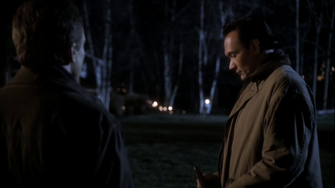 vlcsnap-2013-01-17-00h08m00s196.png
