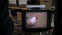 vlcsnap-2013-01-17-20h01m58s32.png