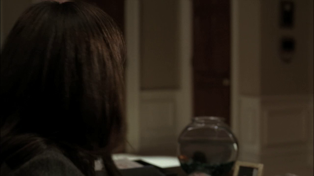 vlcsnap-2013-01-06-16h03m36s109.png