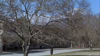 vlcsnap-2013-01-15-21h19m40s55.png